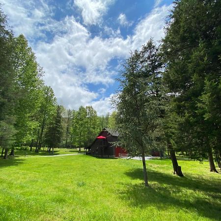 Shadow Mountain Escape Cabin Rentals Luray Kültér fotó