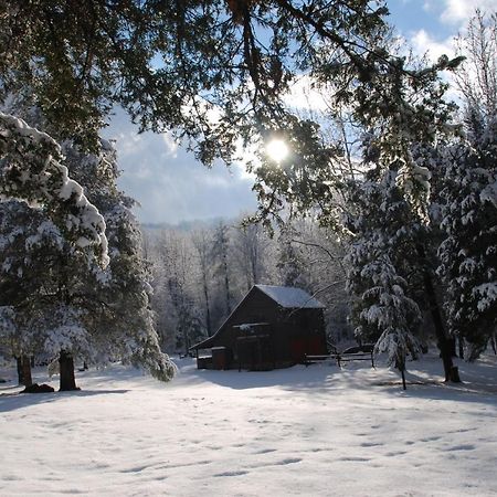 Shadow Mountain Escape Cabin Rentals Luray Kültér fotó