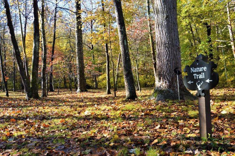 Shadow Mountain Escape Cabin Rentals Luray Kültér fotó